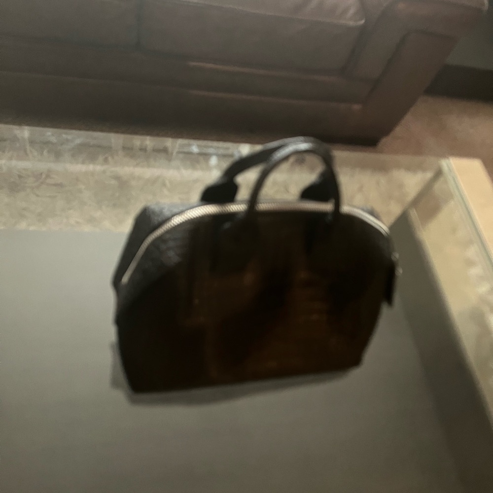 Alexander Wang bag medium size